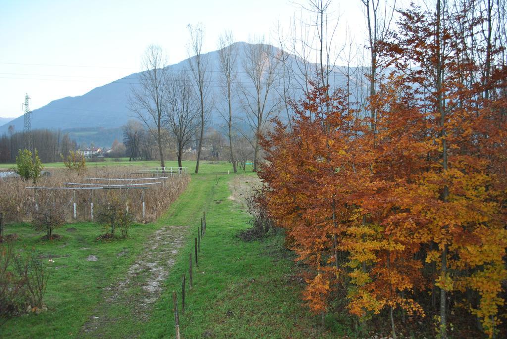 Agriturismo Il Girasole Feltre Zewnętrze zdjęcie
