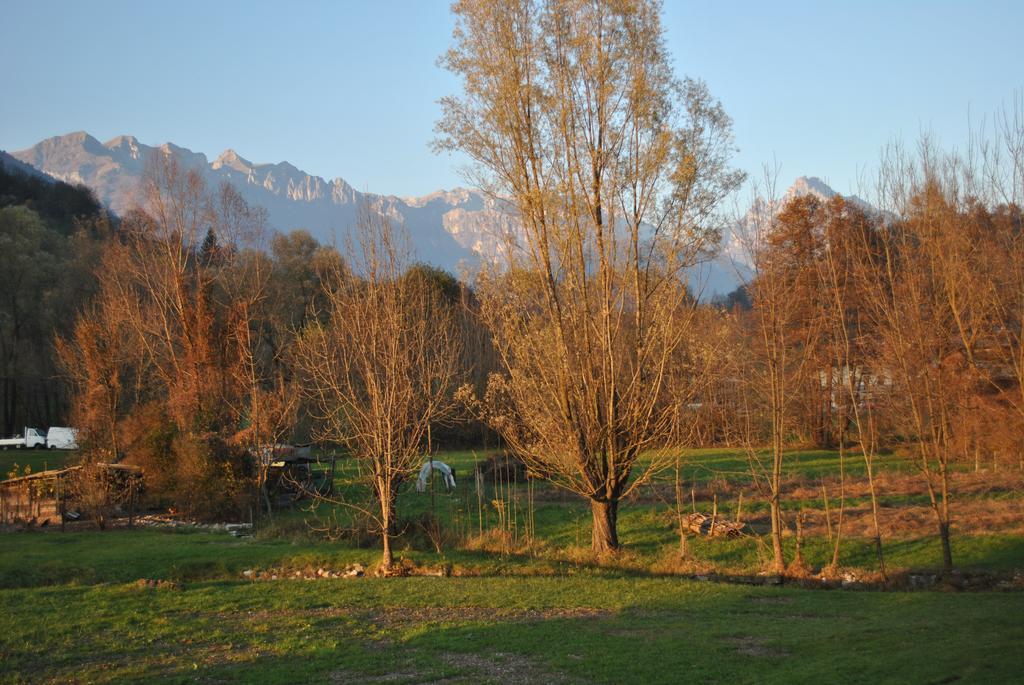 Agriturismo Il Girasole Feltre Zewnętrze zdjęcie
