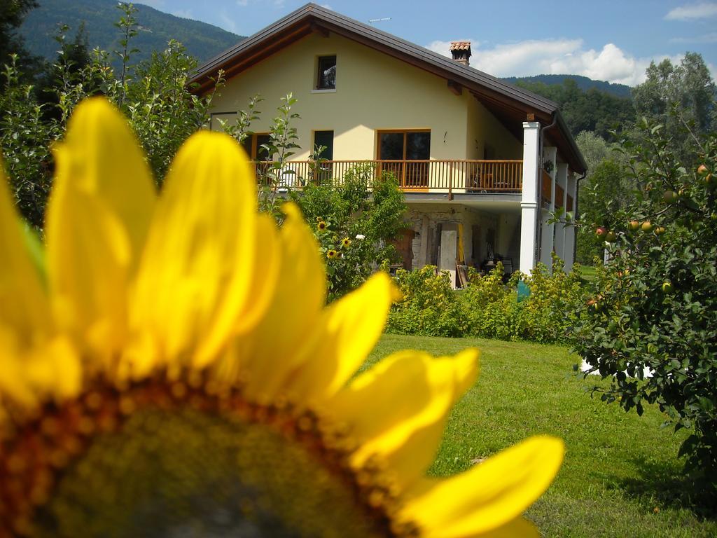 Agriturismo Il Girasole Feltre Zewnętrze zdjęcie